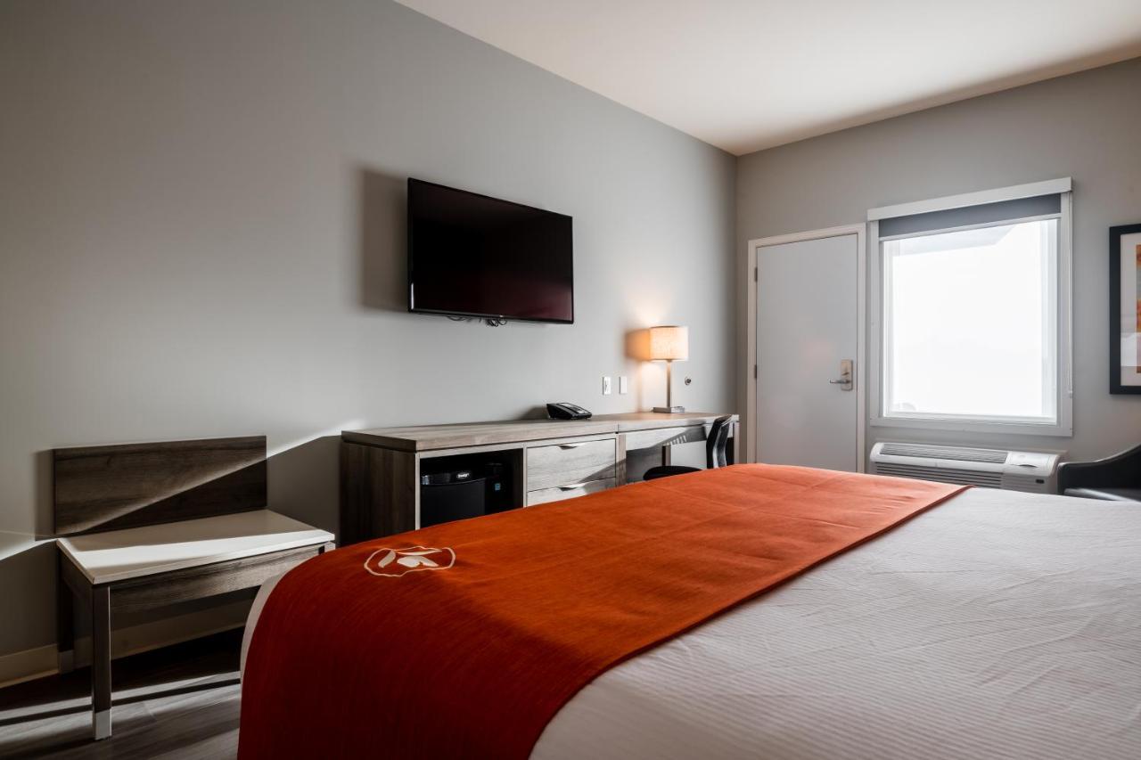 Hotel Amsterdam &