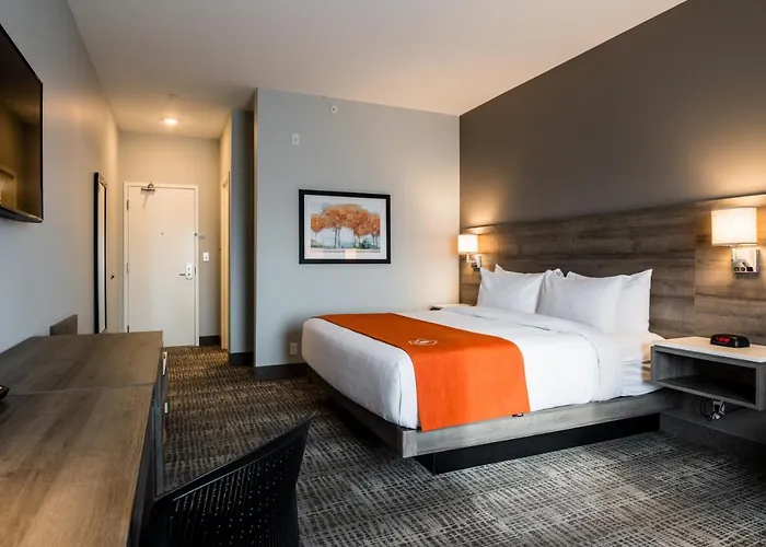 Amsterdam Inn & Suites Florenceville