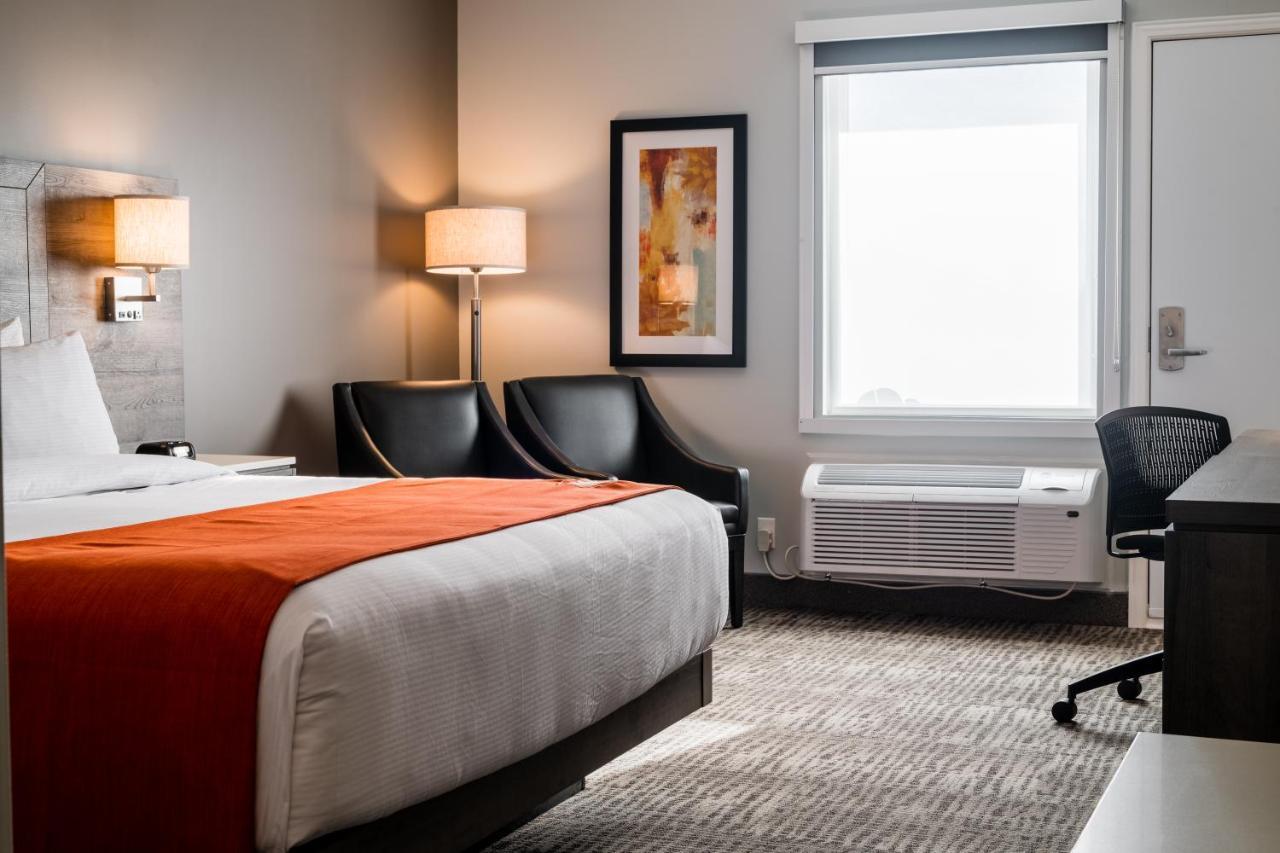 Hotel Amsterdam & 2*