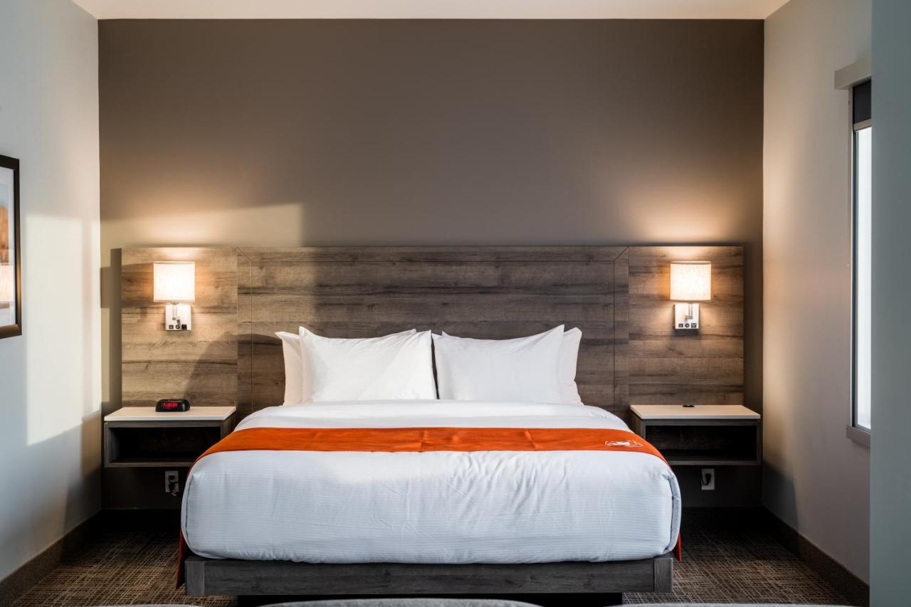 Amsterdam & Hotel
