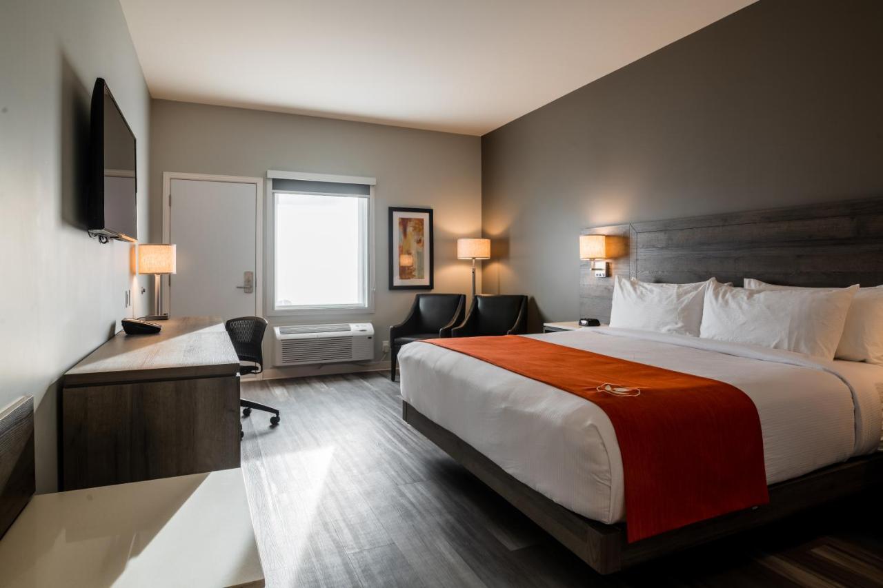 Hotel Amsterdam & 2*